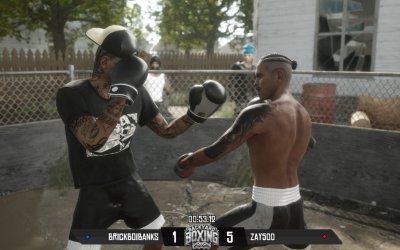 Backyard Boxing